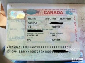 專業代辦美國、加拿大、澳大利亞、新西蘭等國簽證服務