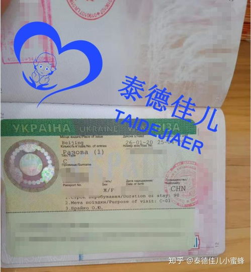 烏克蘭簽證辦理指南 試管醫療簽證、落地簽政策與代辦服務解析